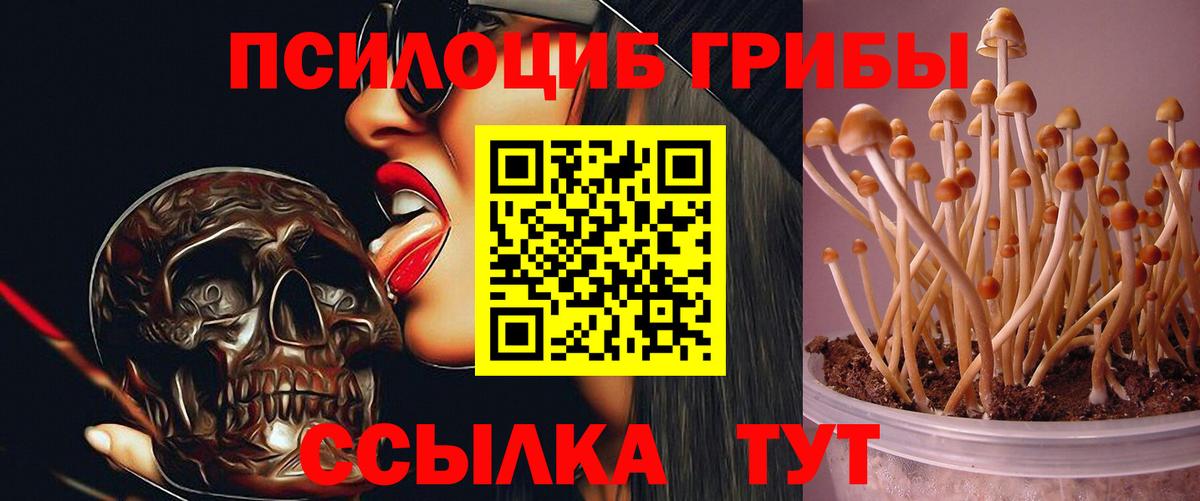 Галлюциногенные грибы Cubensis  Псилоцибиновые грибы мухоморы  Вход с VPN  Солнечногорск 