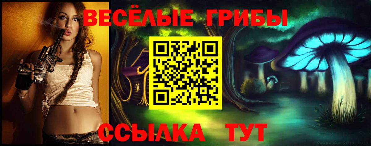 Псилоцибиновые грибы GOLDEN TEACHER Солнечногорск